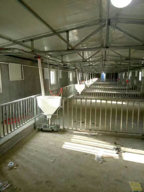 世昌畜牧2.1*6热镀锌母猪限位栏 坚固耐用，保障养殖环境卫生